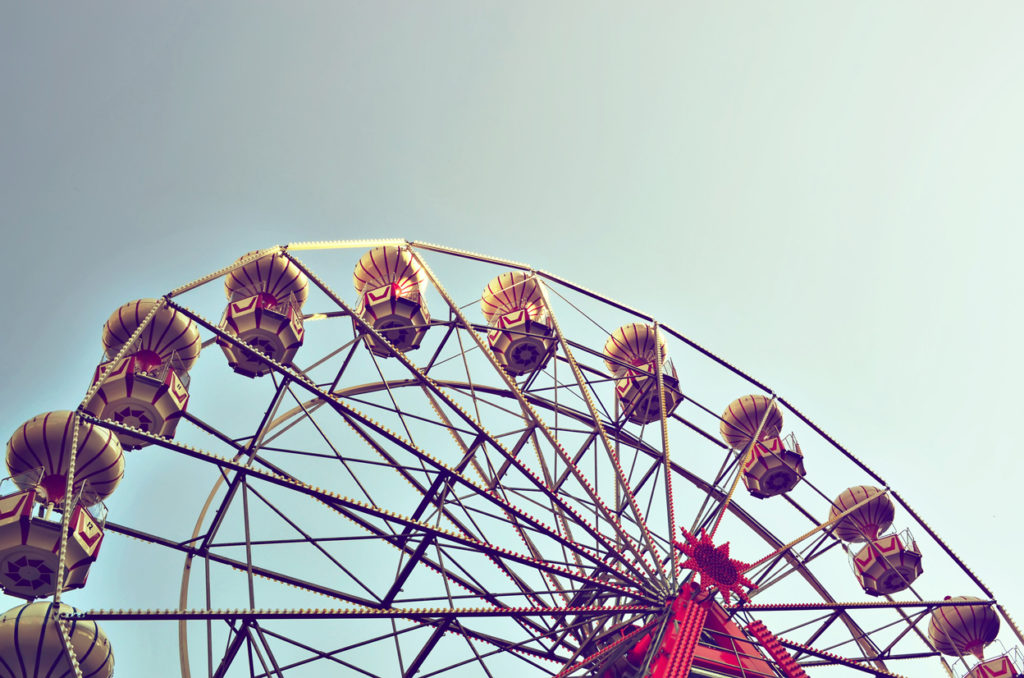 Ekka Animals - It's That Time Of The Year Again. Enjoy The Show!