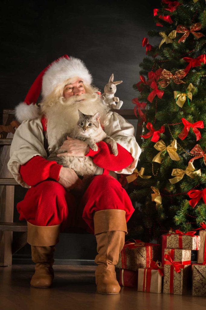 pet photos with santa have you booked your pet photos yet?