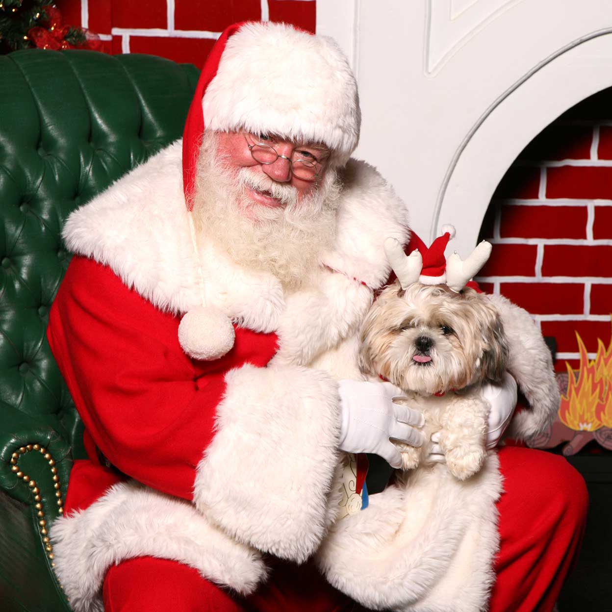 pet photos with santa have you booked your pet photos yet?