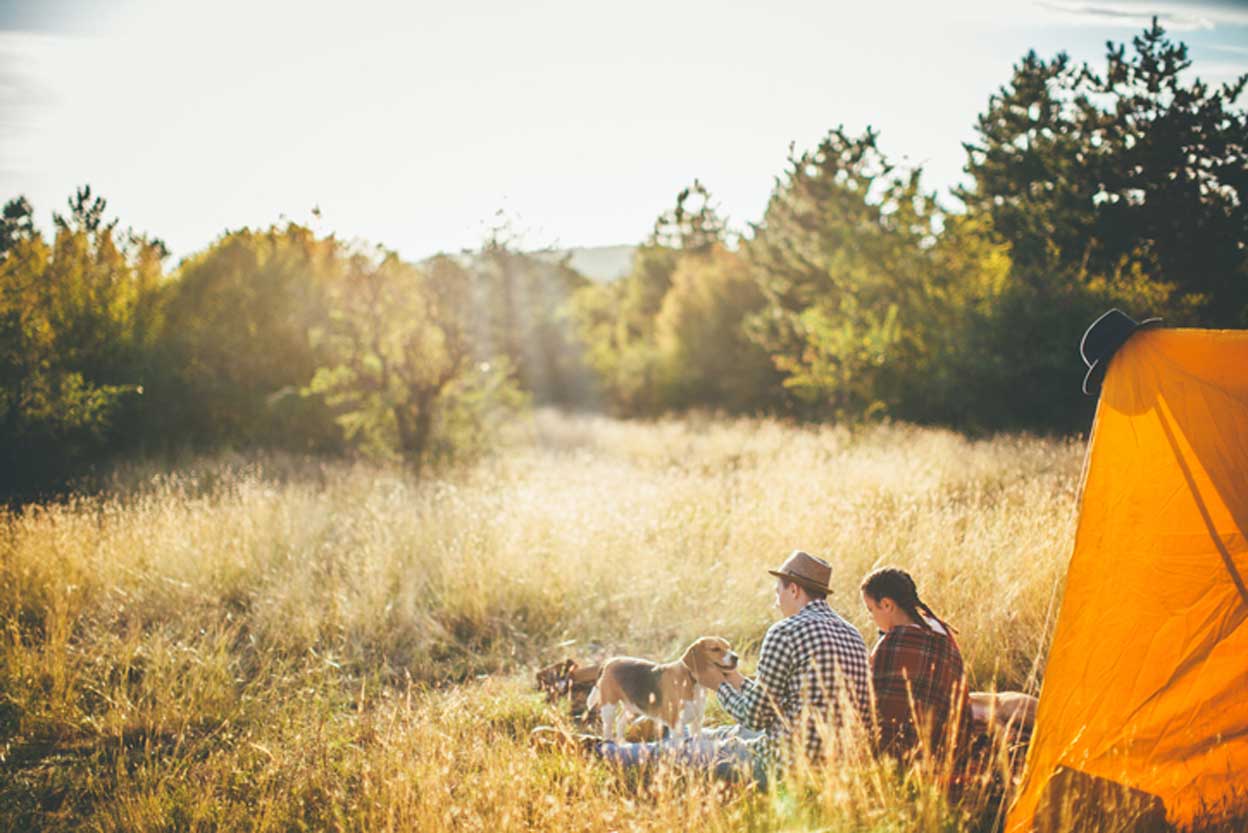 Camping with Pets near Brisbane | The House Call Vet | Vet Near Me