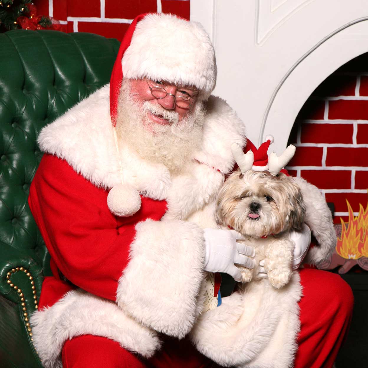 Santa Pawtraits The House Call Vet