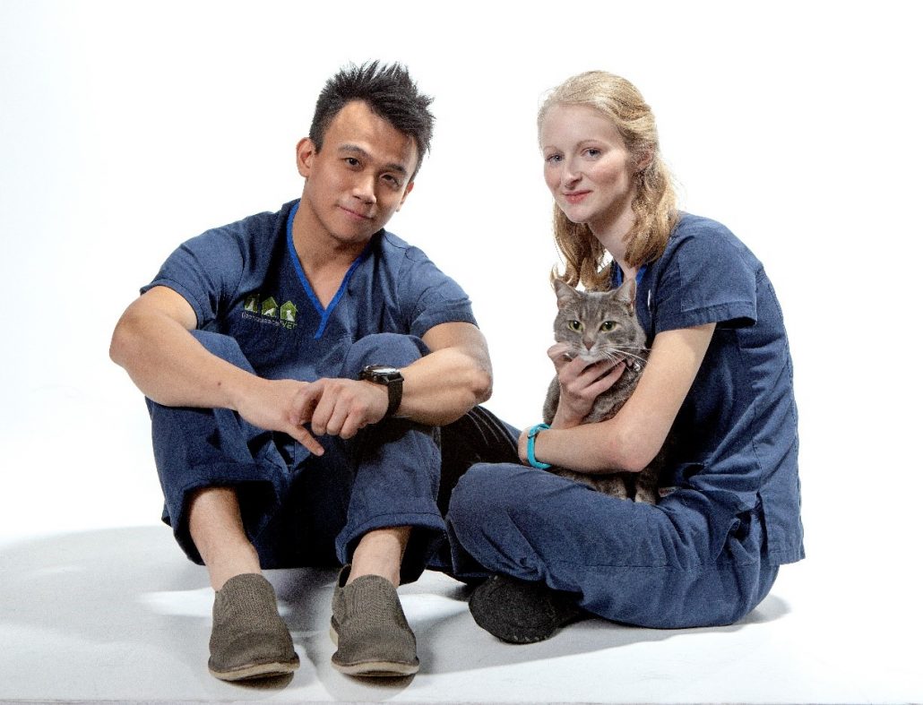 Emergency Vet - THCV staff and cats