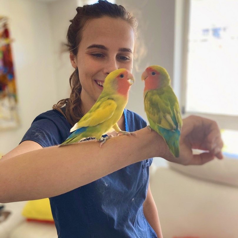 Bird Vet | Comprehensive Vet Care In Brisbane | The House Call Vet