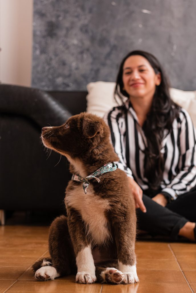 owner looking at their puppy, sitting in a living room