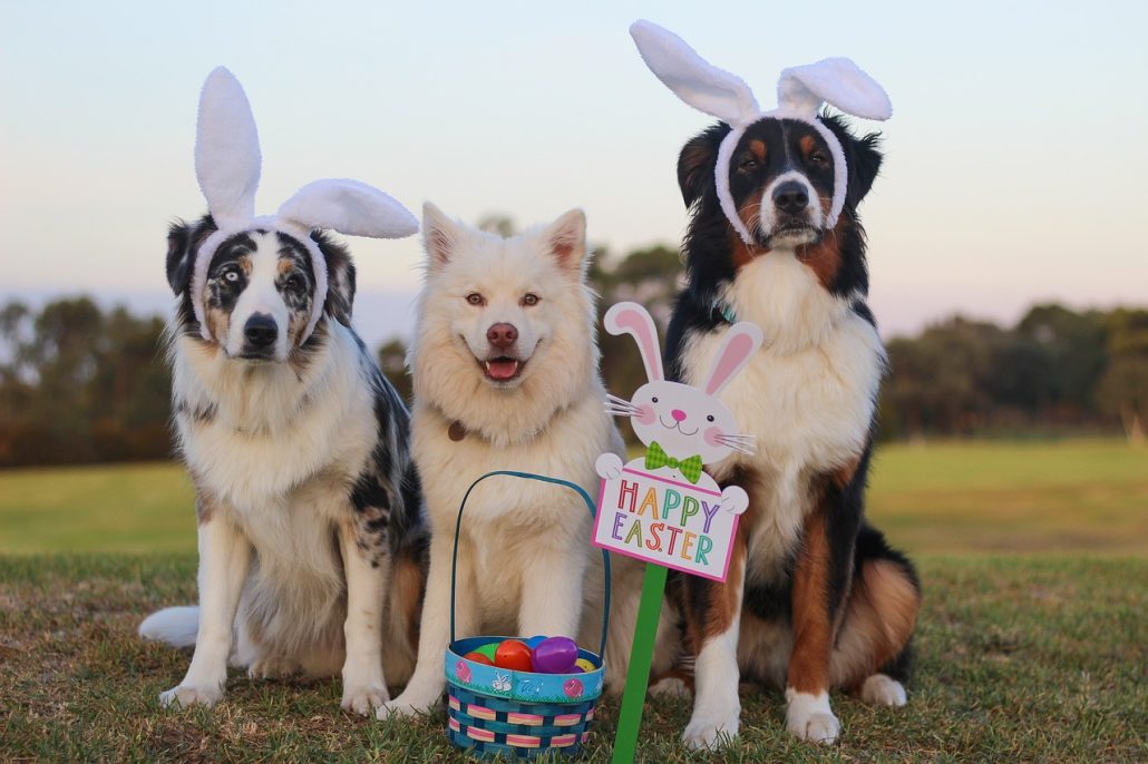 pets during an Easter celebration