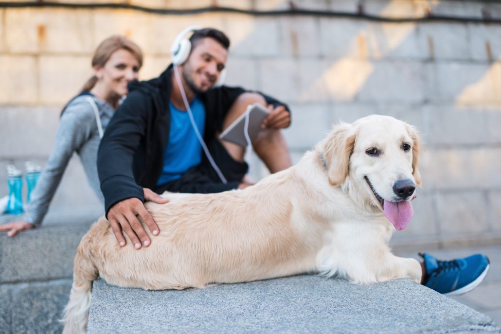 young couple with golden retriever dog during a walk to get exercise