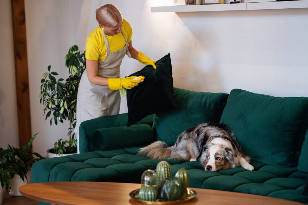 woman cleaning pet bedding to prevent ringworm infections