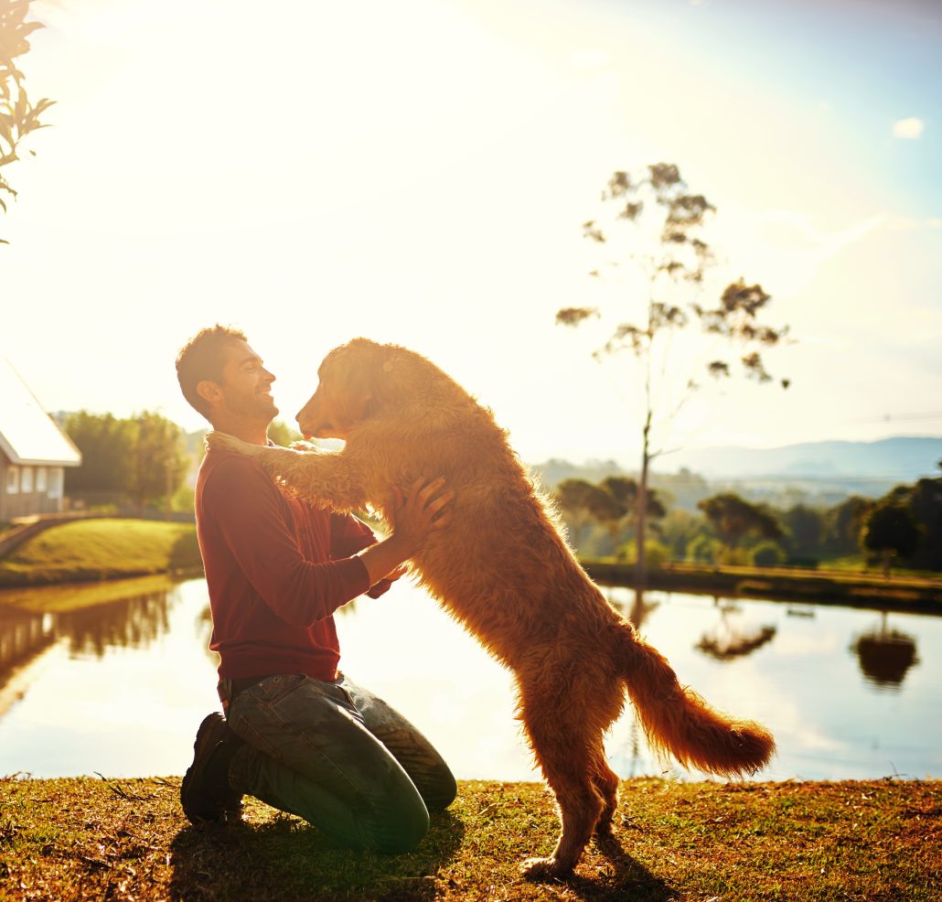 owner and large dog hugging at sunset