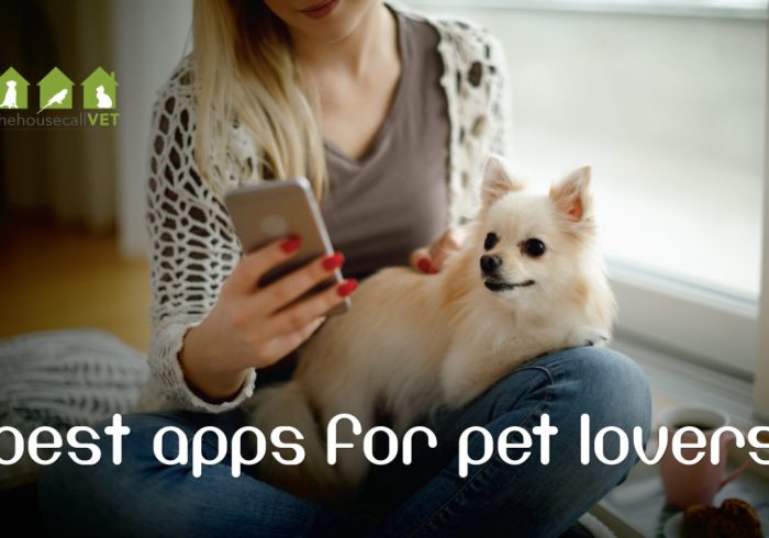 best-apps-pet-lovers-1184x759