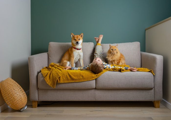 Keeping Your Senior Dog Active - youn boy with dog and cat on couch