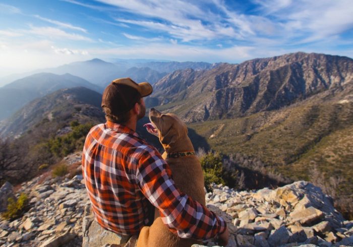 Building A Trusting Relationship with Your Pet - man and dog on mountain