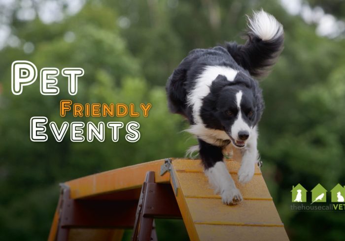 pet-friendly-events-1184x759